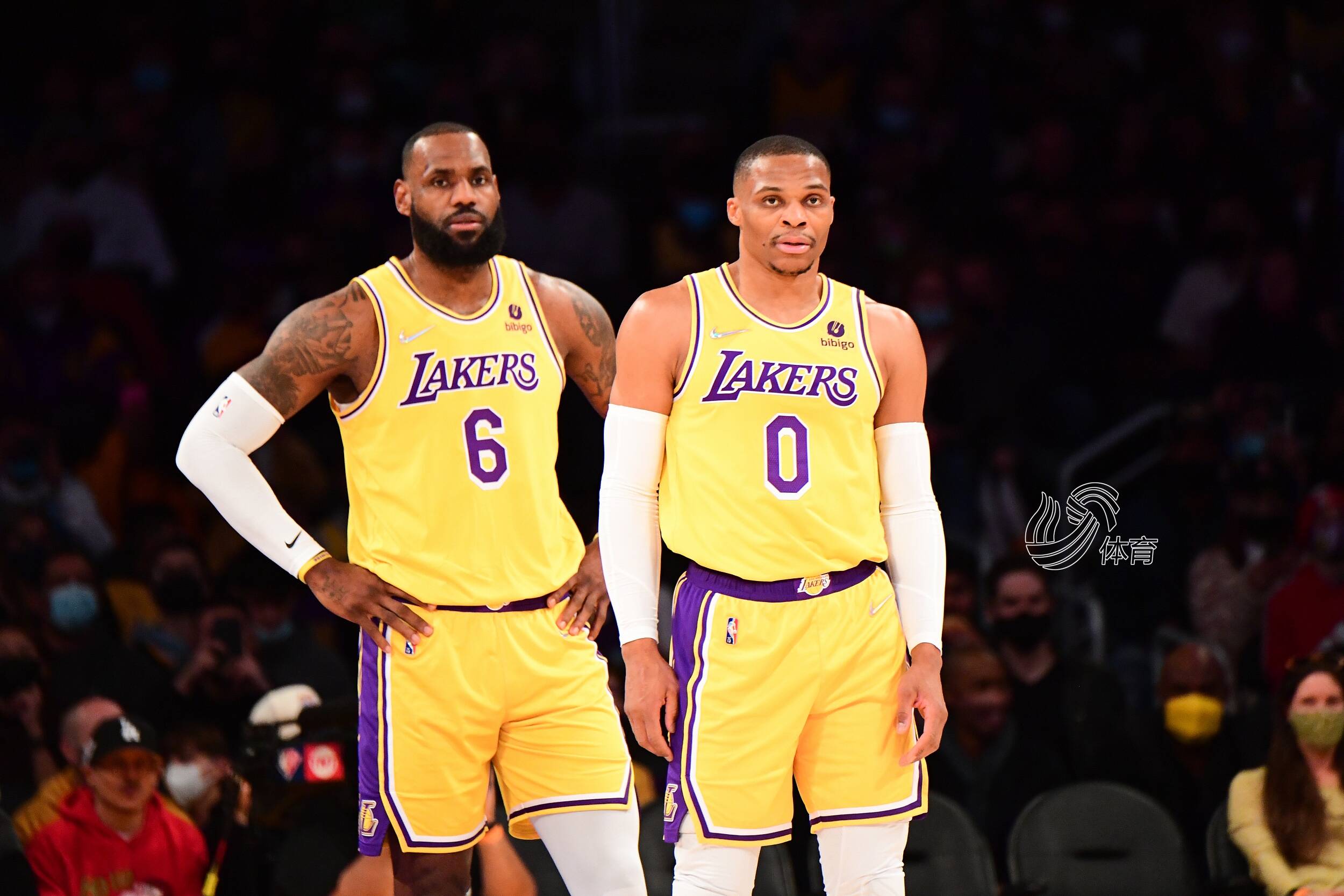 结构解剖一 结构解剖一